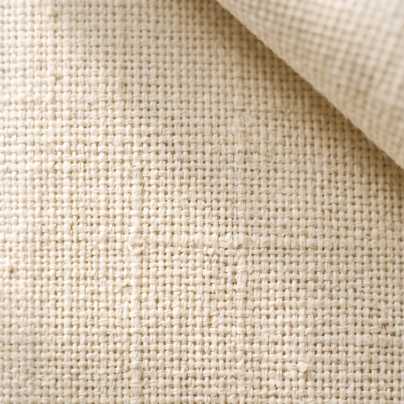 Plain woven cream cotton, a soft fold crossing the weave